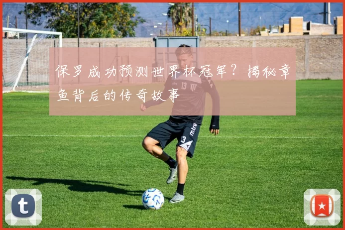 保罗成功预测世界杯冠军？揭秘章鱼背后的传奇故事
