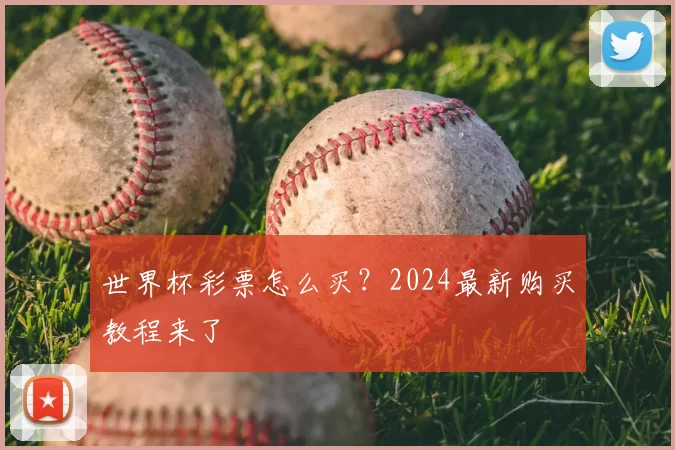 世界杯彩票怎么买？2024最新购买教程来了
