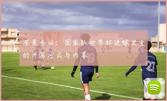 深度专访：国家队世界杯进球奖金的计算方式与内幕