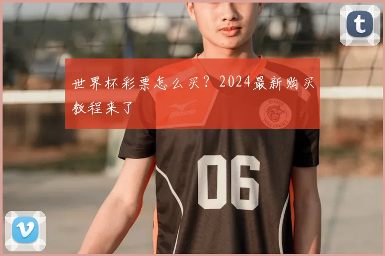 世界杯彩票怎么买？2024最新购买教程来了