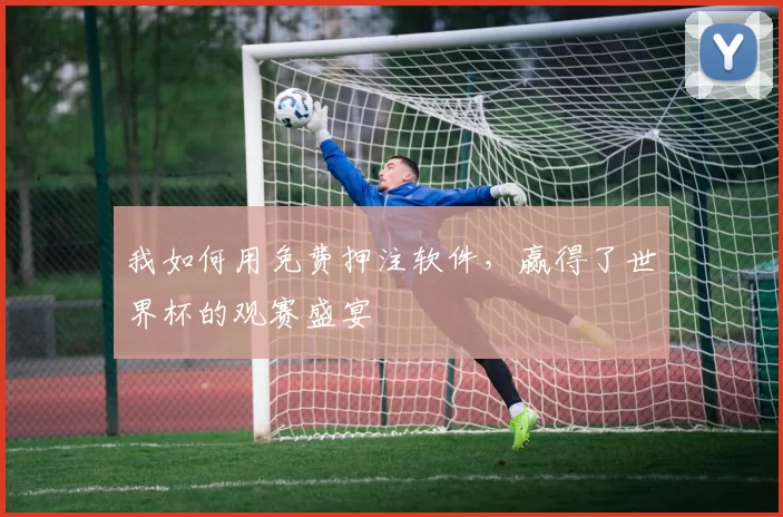 我如何用免费押注软件，赢得了世界杯的观赛盛宴