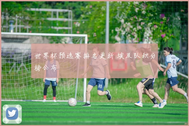 世界杯预选赛排名更新 埃及队积分榜公布