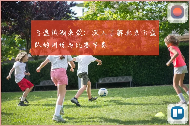 飞盘热潮来袭:深入了解北京飞盘队的训练与比赛节奏