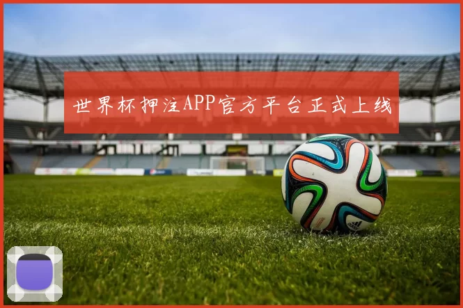 世界杯押注APP官方平台正式上线