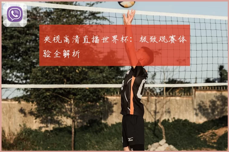 央视高清直播世界杯：极致观赛体验全解析